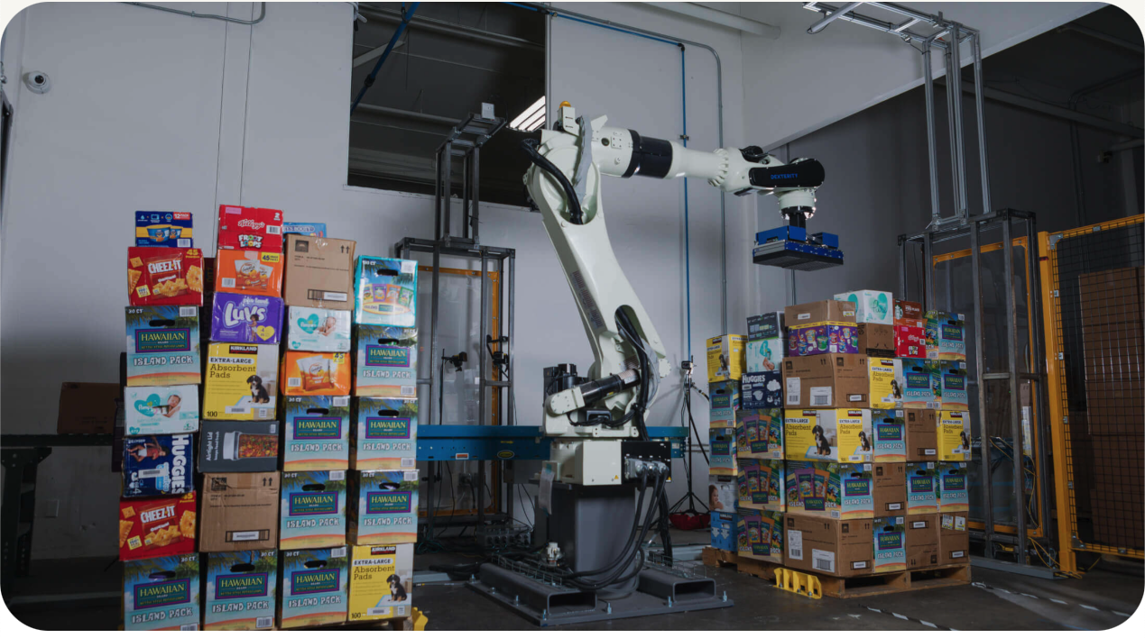 Robotic Palletization and Depalletization Products Dexterity